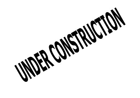 Young India Mediclaim Plus